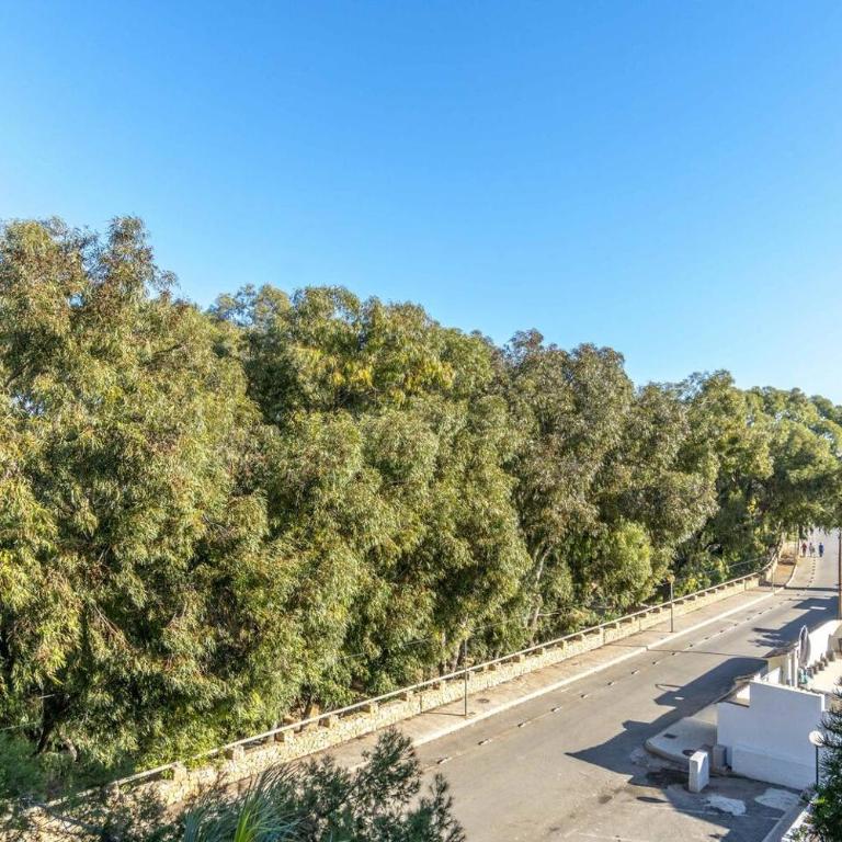 Playa Flamenca Splendid apartment on the beach - Three-Bedroom Apartment - 25