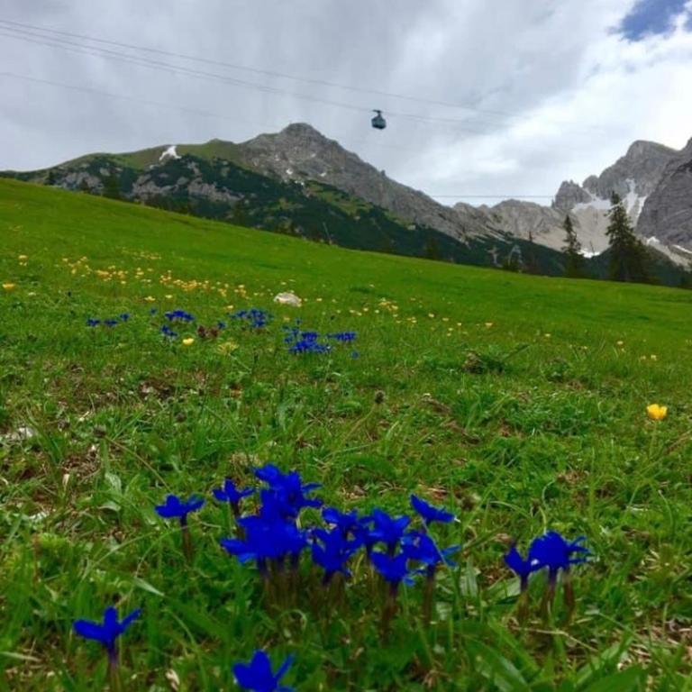 RELAX Seefeld Apartman - Studio-Apartment - 70