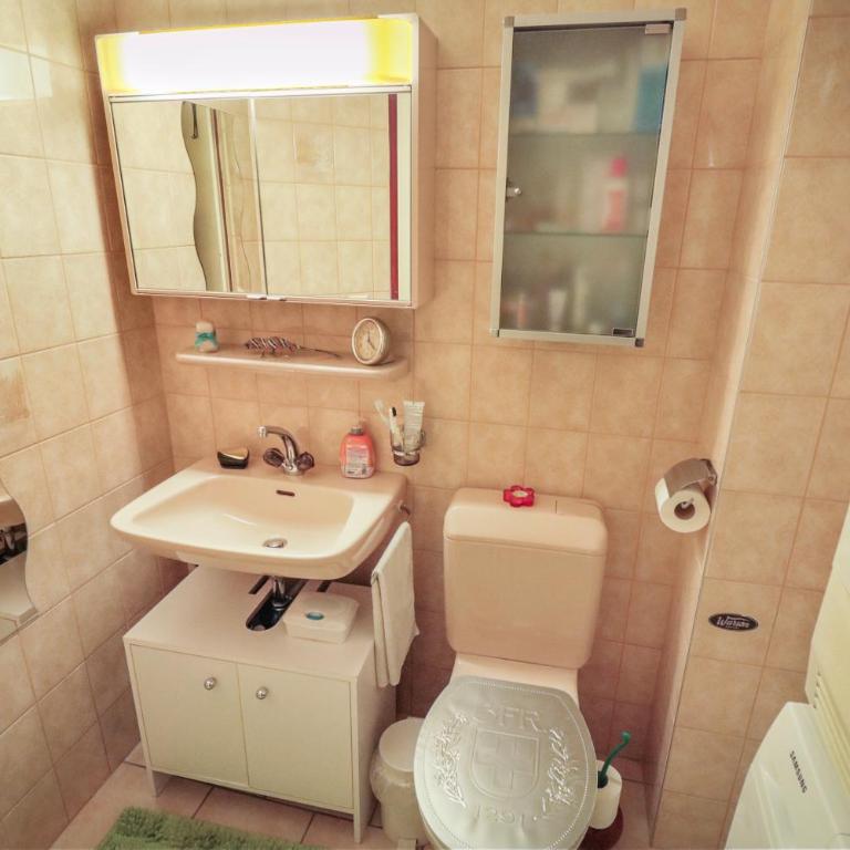 Super appartement au coeur de Martigny - Apartment mit 1 Schlafzimmer - 19