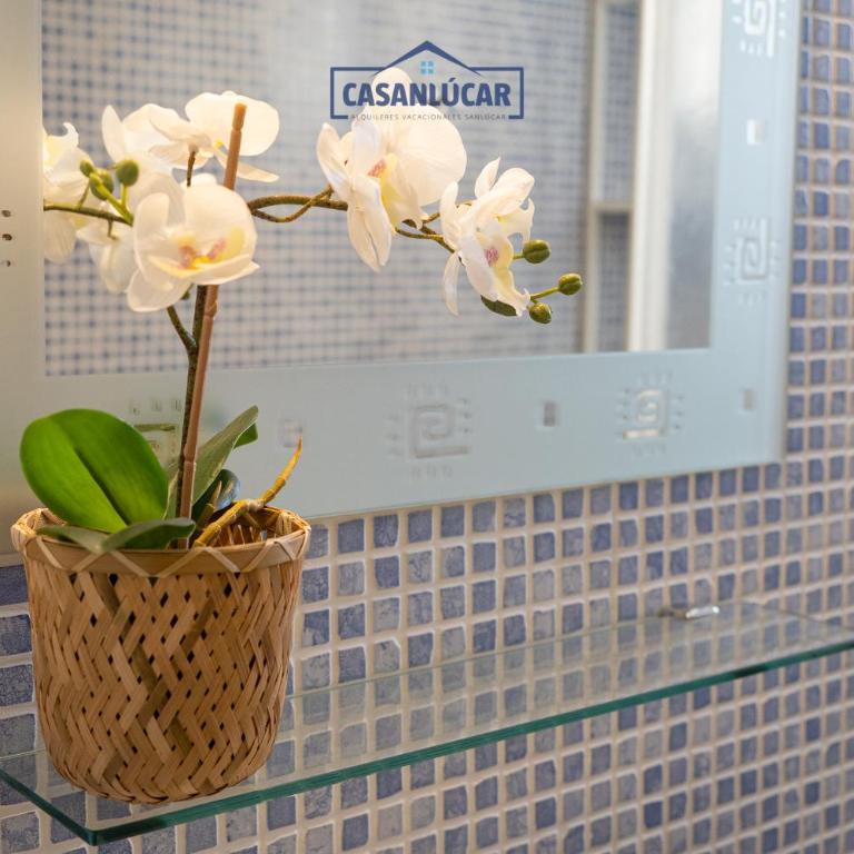 Vivienda Magallanes - Apartamento de 3 dormitorios - 23