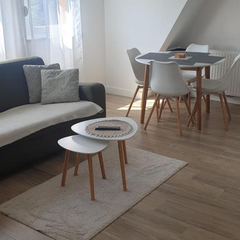 Apartman Divcigora Sokic 2 - Apartman sa 1 Spavaćom Sobom - 4