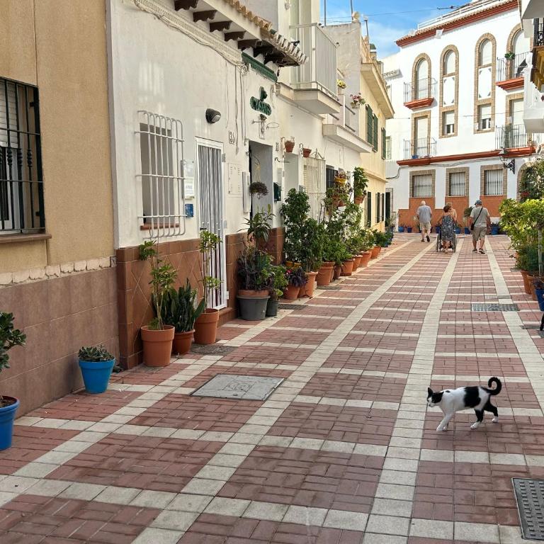 Carihuela Home - Apartamento de 1 dormitorio - 20