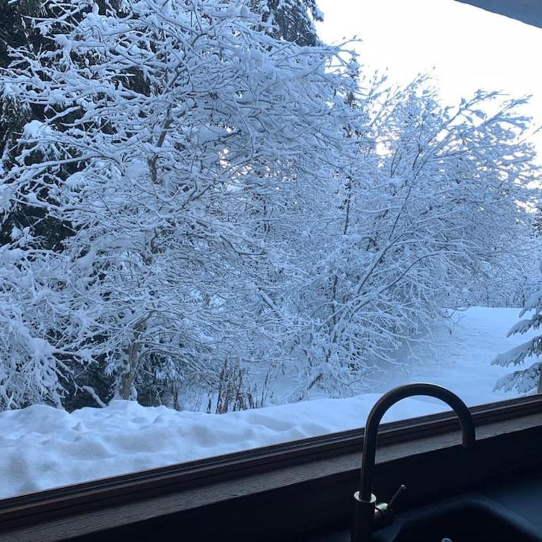 Appart 4/5 pers prox pistes La Tania/courchevel - Apartment mit 2 Schlafzimmern - 3
