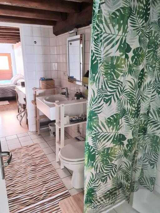 Duplex atypique loft Lyon 6 - Apartamento de 2 dormitorios - 9