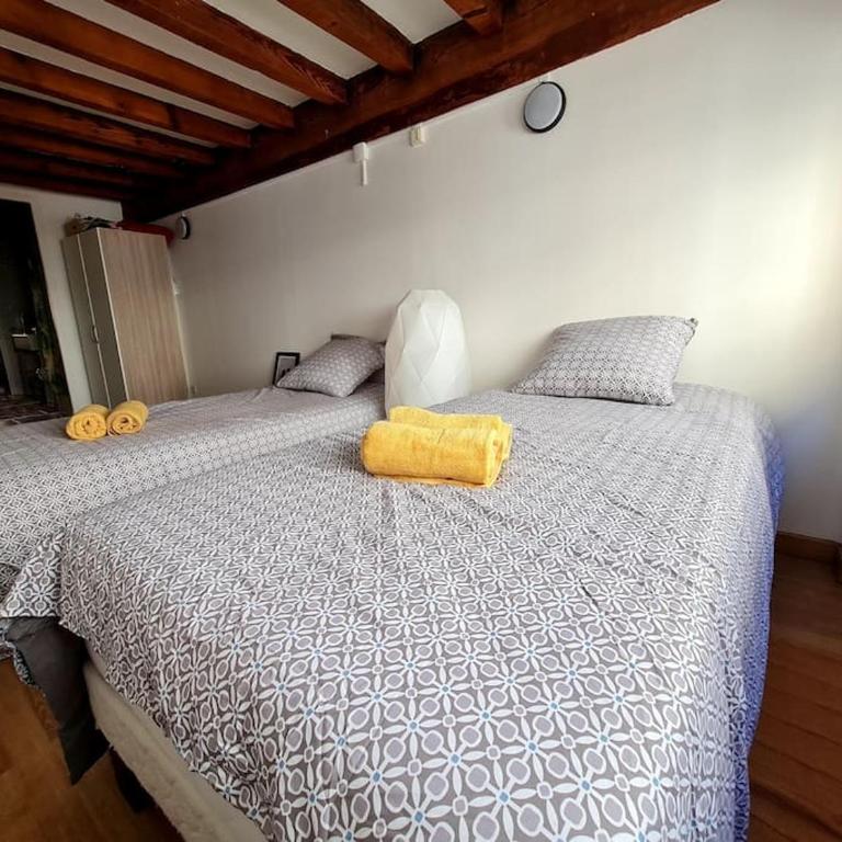 Duplex atypique loft Lyon 6 - Apartamento de 2 dormitorios - 16