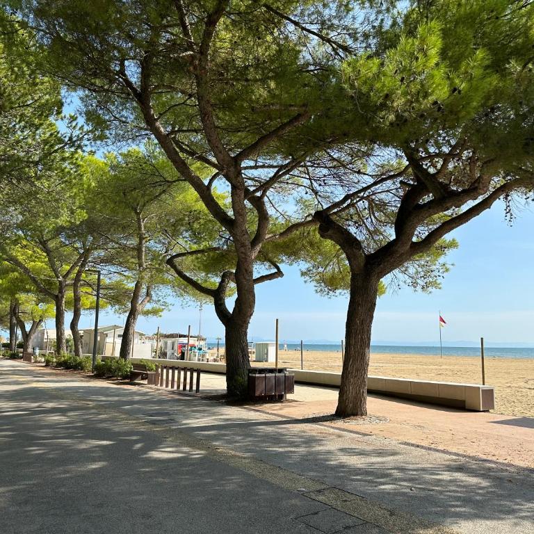 Beach Front Apartment Sabbiadoro - Appartamento con 1 Camera da Letto - 24