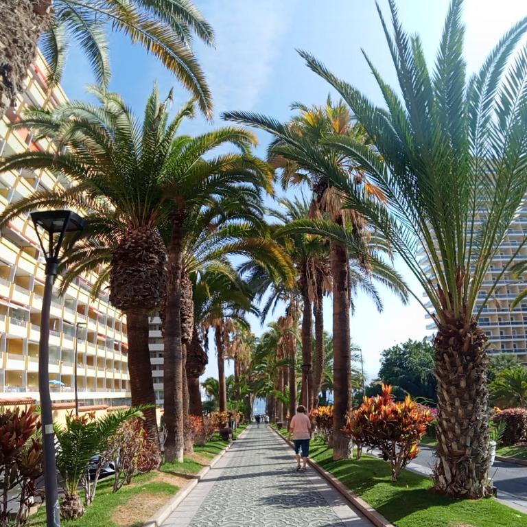 Paraíso San Telmo - Apartamento de 1 dormitorio - 24