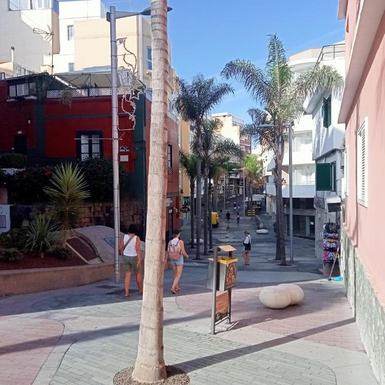Paraíso San Telmo - Apartamento de 1 dormitorio - 21