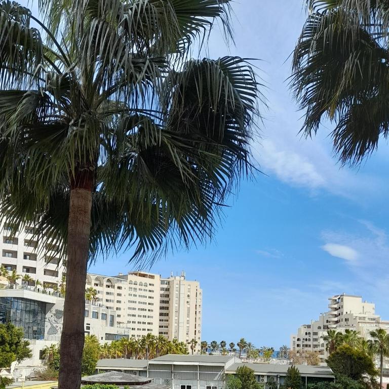 FRANLAU PLAYA - Apartamento de 2 dormitorios - 58