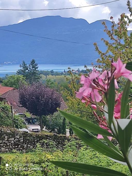 Du Vent Dans Les Arbres -120m2 Belle vue sur le lac - Two-Bedroom House - 20