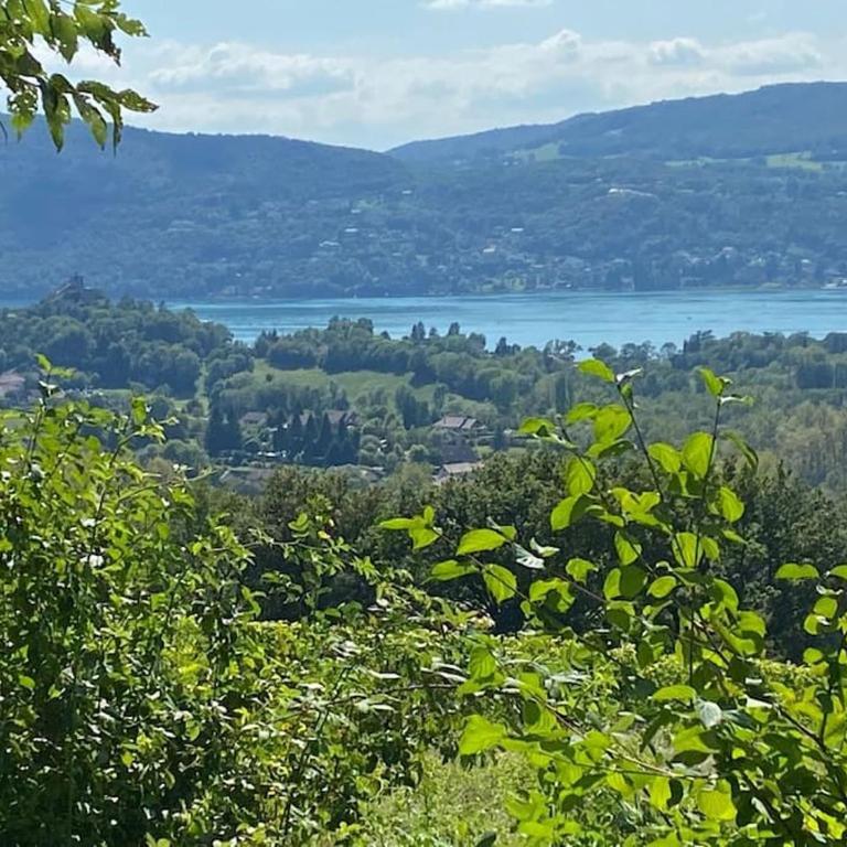 Du Vent Dans Les Arbres -120m2 Belle vue sur le lac - Two-Bedroom House - 19