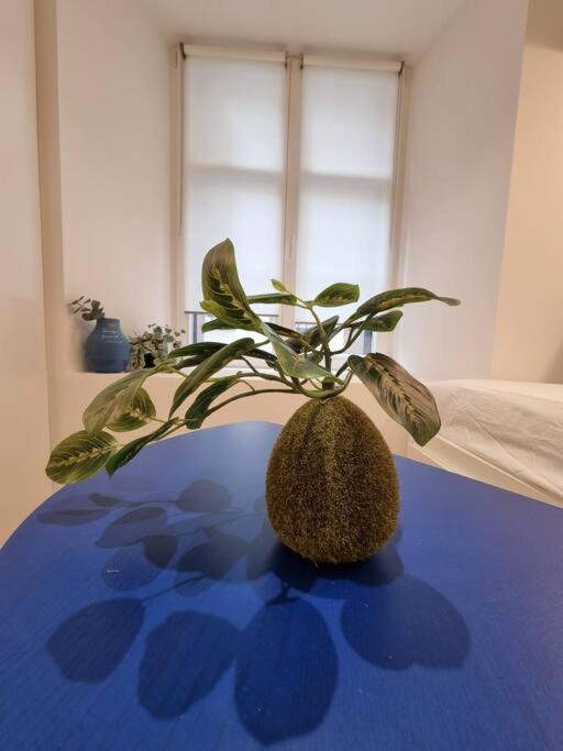 Les appartements Hyper centre - Monolocale - 13