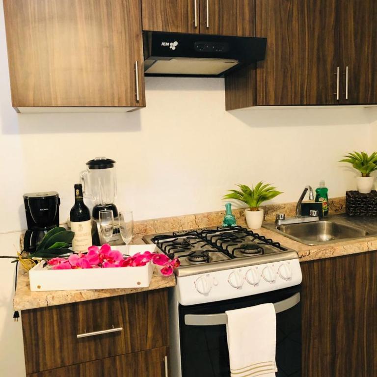 Departamento centrico - Pikachos House - - Two-Bedroom Apartment - 7