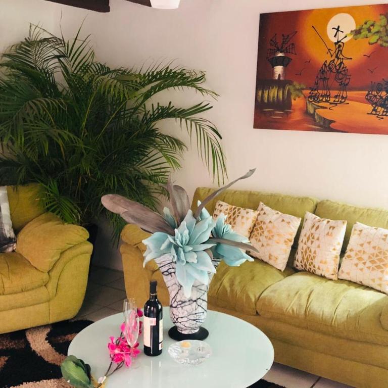 Departamento centrico - Pikachos House - - Two-Bedroom Apartment - 15