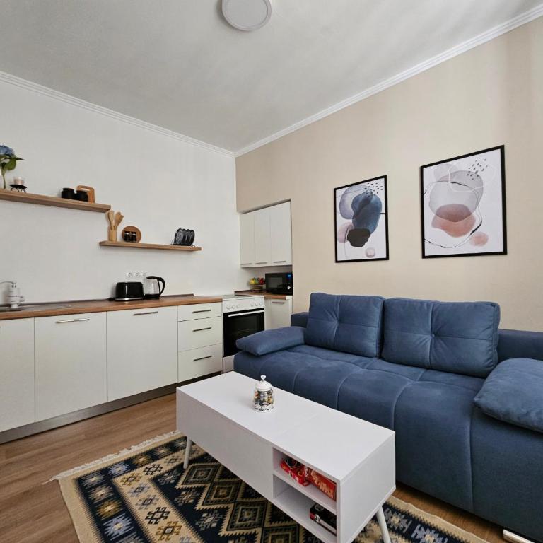 BLUE APARTMENT MOSTAR - One-Bedroom Apartment - 2