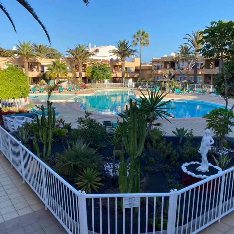 Caracol - One-Bedroom Apartment - 28