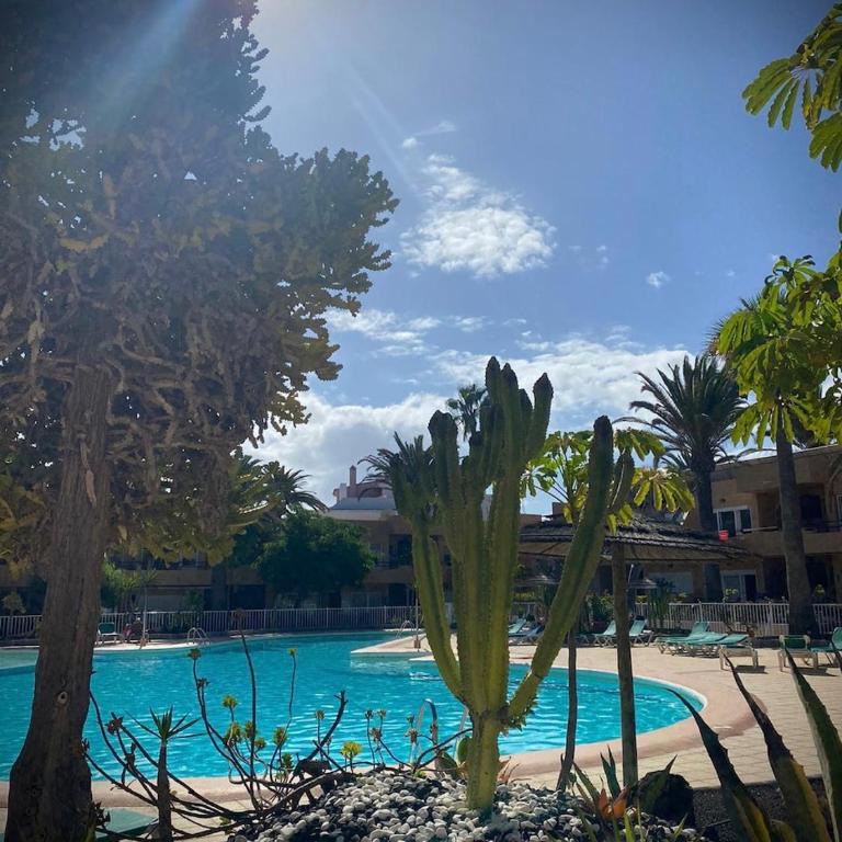 Caracol - One-Bedroom Apartment - 4