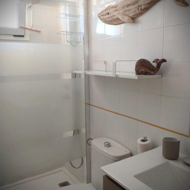 Caracol - One-Bedroom Apartment - 24
