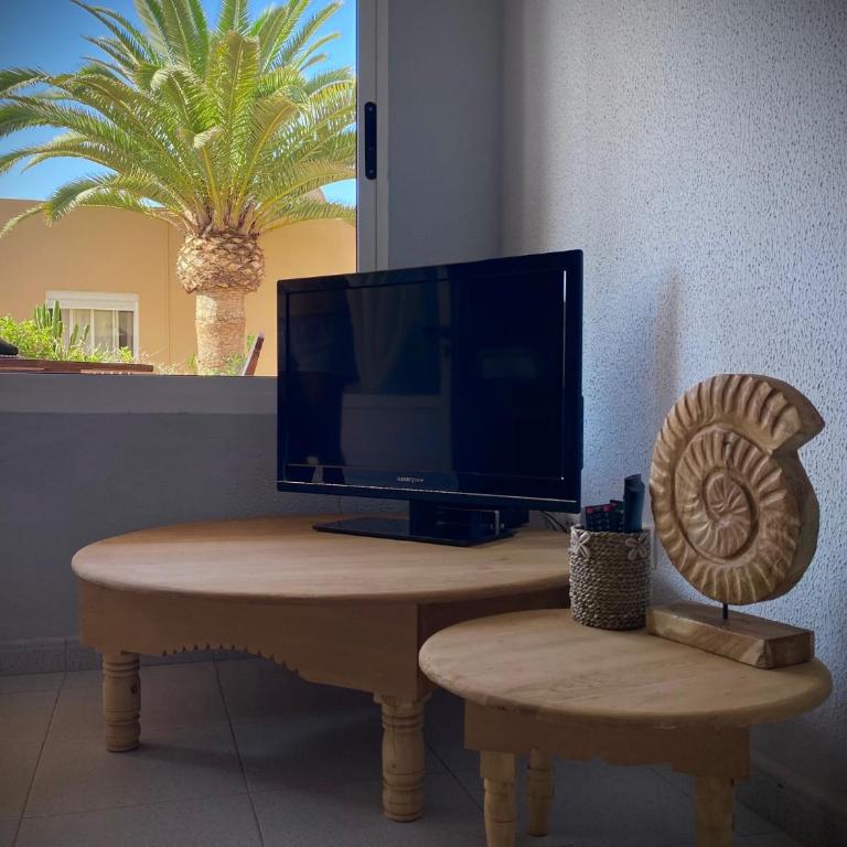 Caracol - One-Bedroom Apartment - 10