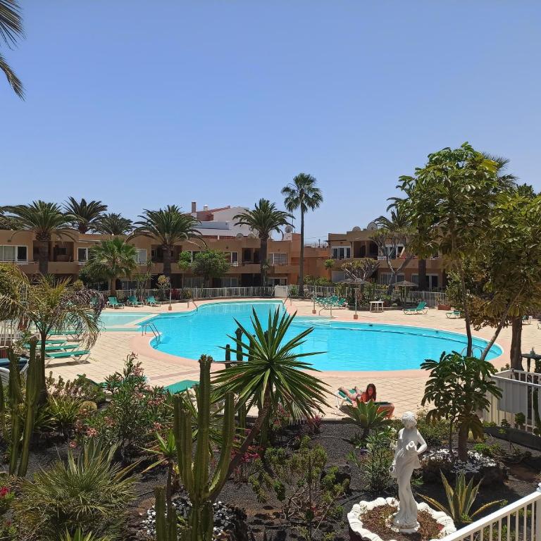 Caracol - One-Bedroom Apartment - 29