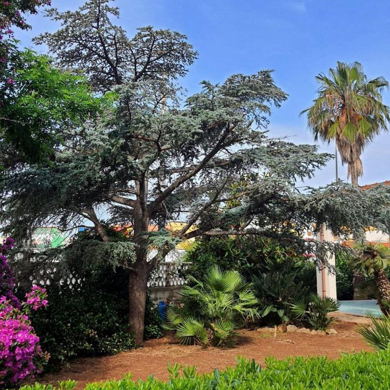 Il Giardino Incantato - Vacation Home - 11