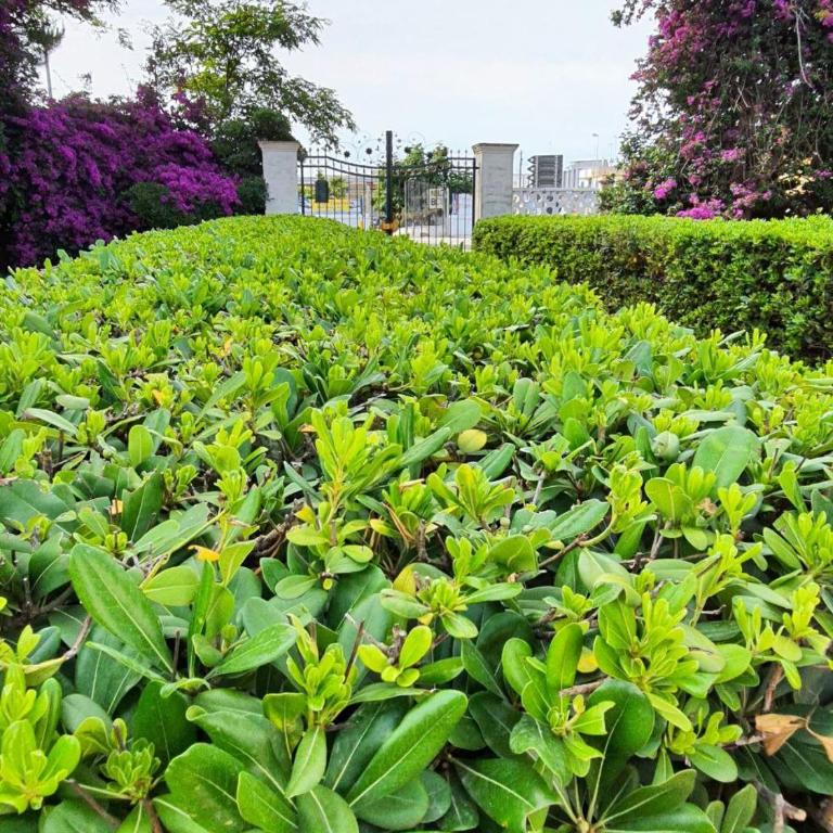 Il Giardino Incantato - Vacation Home - 16