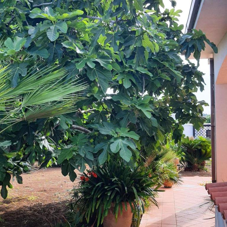 Il Giardino Incantato - Vacation Home - 15
