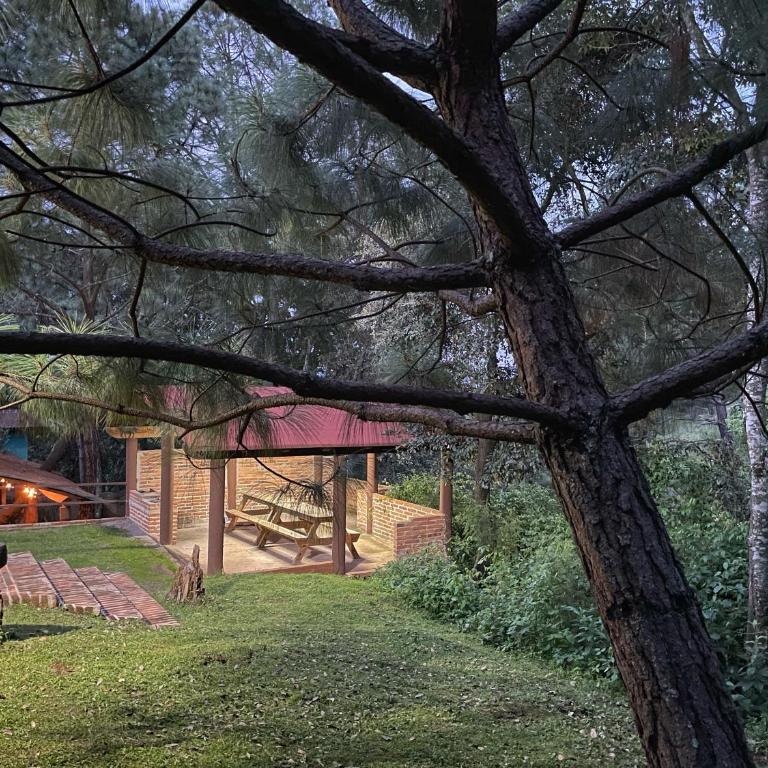 Cabaña en bosque de Mazamitla,Jalisco - Casa de 3 dormitorios - 28