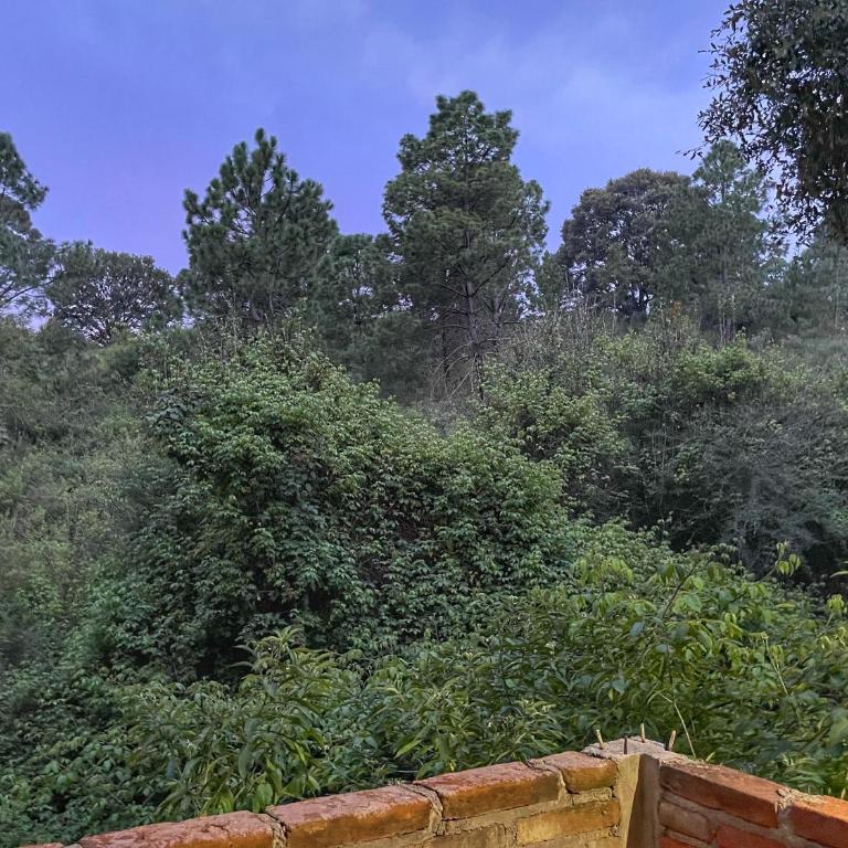 Cabaña en bosque de Mazamitla,Jalisco - Casa de 3 dormitorios - 30