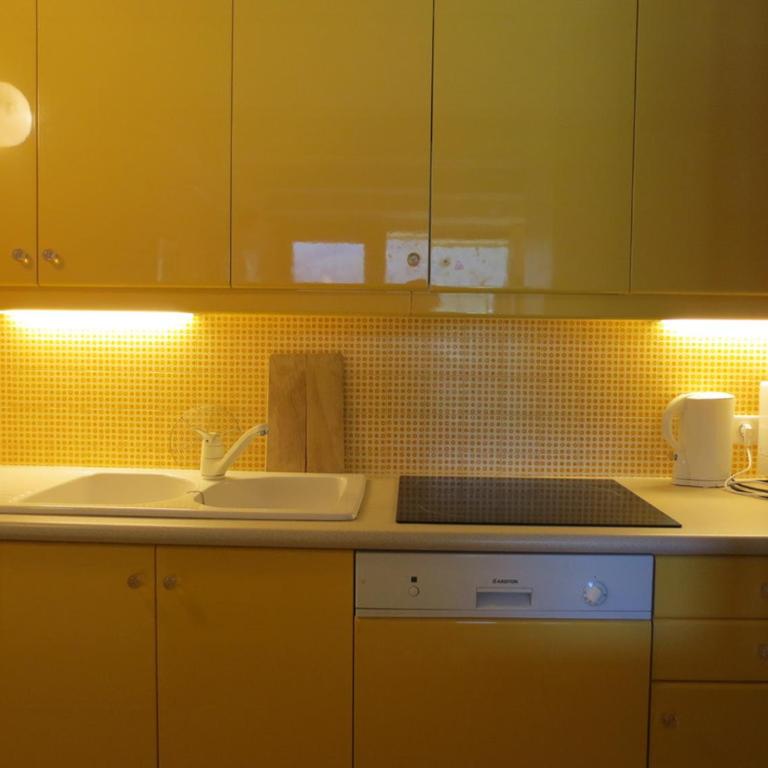 Appartement ski-in/ski-out 6 pers, 45m² - FR-1-687-81 - Appartement - 2
