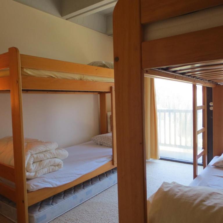 Appartement ski-in/ski-out 6 pers, 45m² - FR-1-687-81 - Appartement - 4