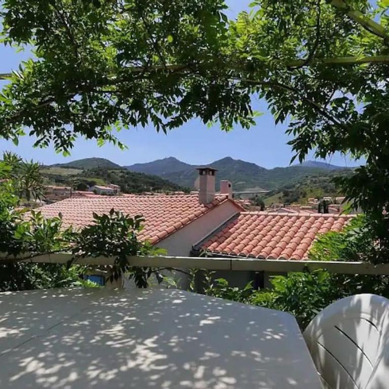 Grand appartement dans maison-proche centre Collioure-terrasse-jardin - Appartamento con 2 Camere da Letto - 1