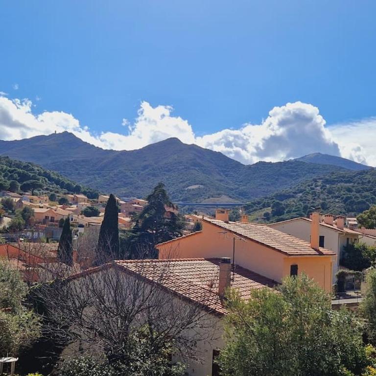 Grand appartement dans maison-proche centre Collioure-terrasse-jardin - Appartamento con 2 Camere da Letto - 13