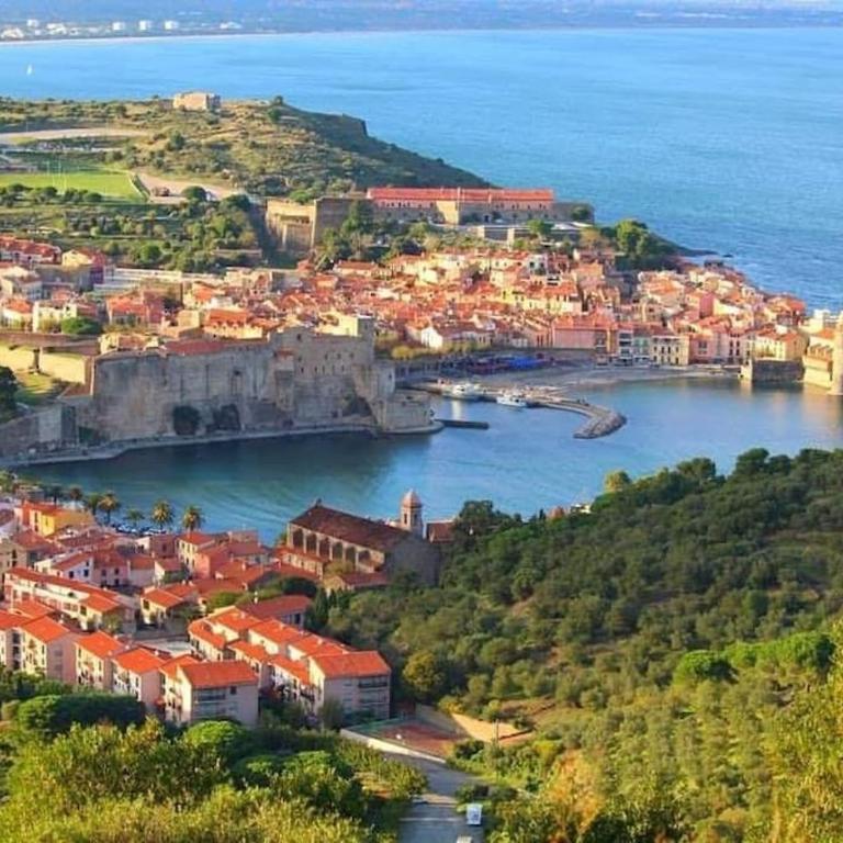 Grand appartement dans maison-proche centre Collioure-terrasse-jardin - Appartamento con 2 Camere da Letto - 16