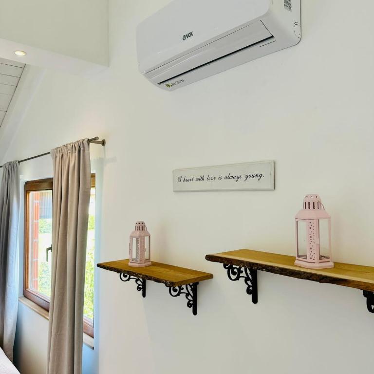 Vila Milincic Loft Milincic - Studio sa Bračnim Krevetom (King-size) - 2