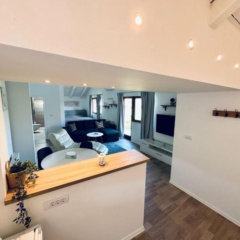 Vila Milincic Loft Milincic - Studio sa Bračnim Krevetom (King-size) - 5