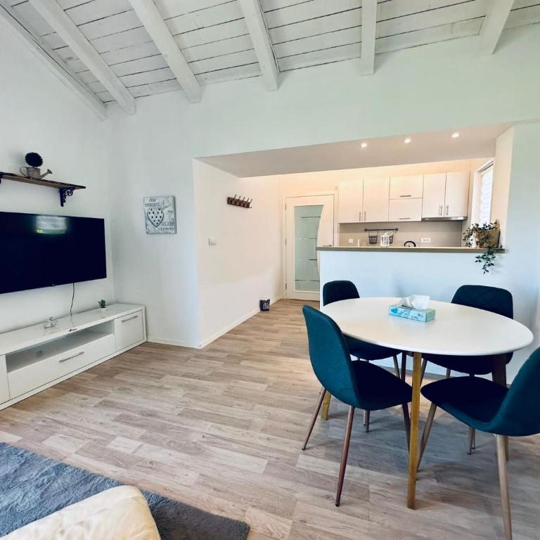 Vila Milincic Loft Milincic - Studio sa Bračnim Krevetom (King-size) - 1