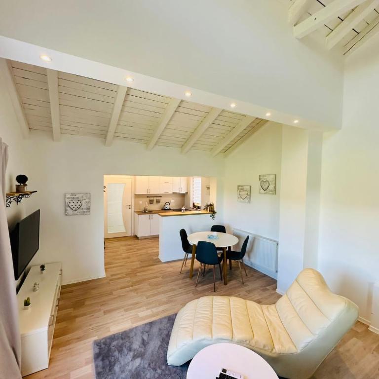 Vila Milincic Loft Milincic - Studio sa Bračnim Krevetom (King-size) - 7