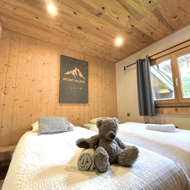 13 personnes,jacuzzi, pied des pistes et des chemins, 4 chambres - Chalet Supérieur - 34
