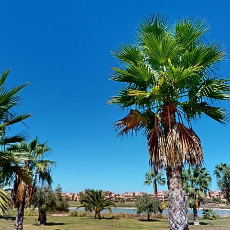 Casa Bonsai I - A Murcia Holiday Rentals Property - Apartamento de 2 dormitorios - 5