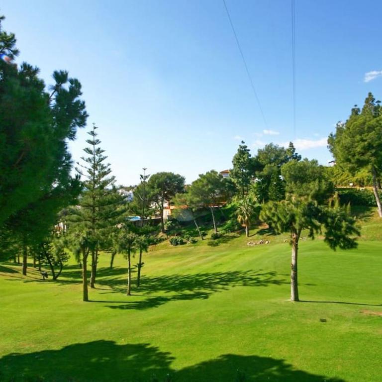 1 bed penthouse apt in Calahonda - Apartamento de 1 dormitorio - 30
