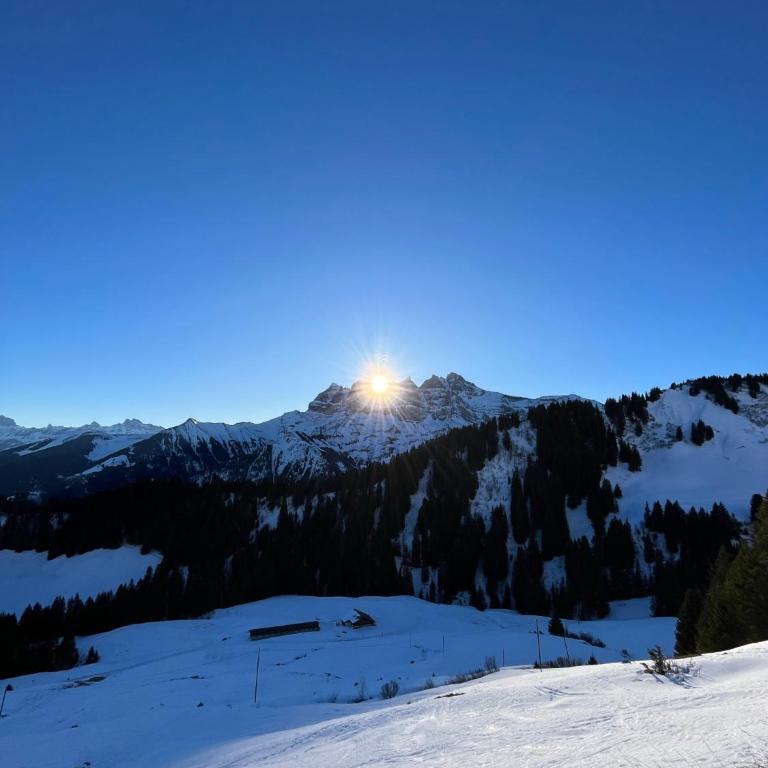 Chalet LYS Apartment 14 Rue Sigma - Apartment - 4