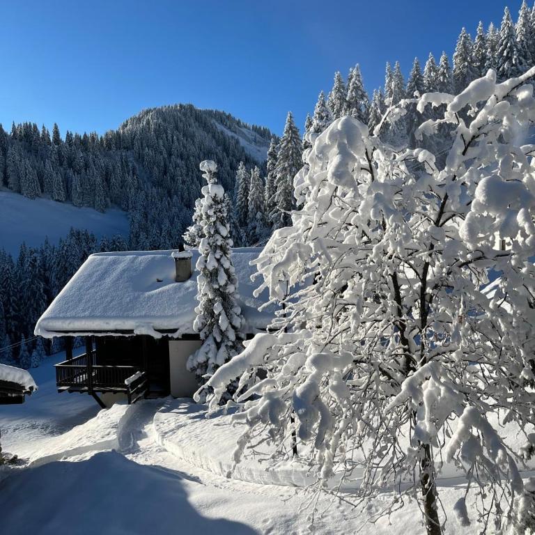 Chalet LYS Apartment 14 Rue Sigma - Apartment - 3