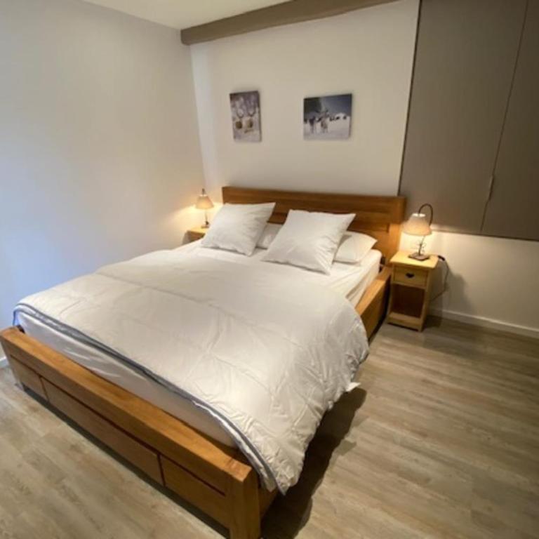 Le Bouquetin 8 person 50m from slopes in the heart of the village - Appartamento - 5