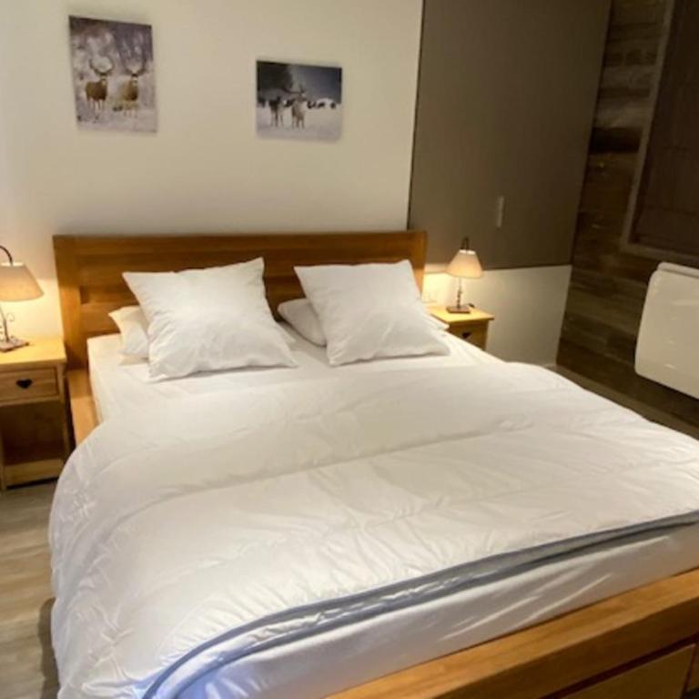 Le Bouquetin 8 person 50m from slopes in the heart of the village - Appartamento - 8