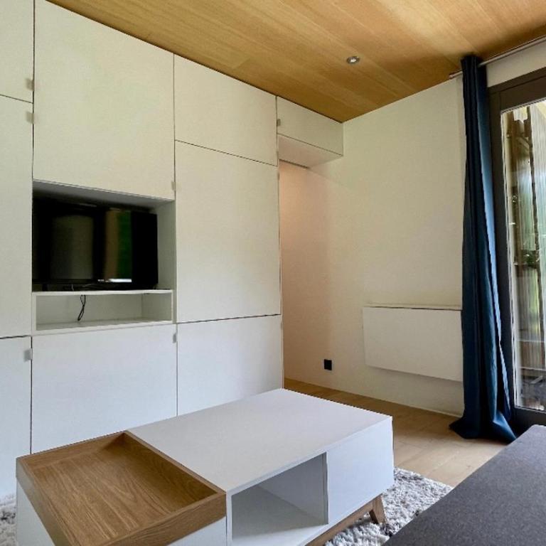 Studio rénové avec terrasse Sud idéalement situé - Appartement 1 Chambre - 1