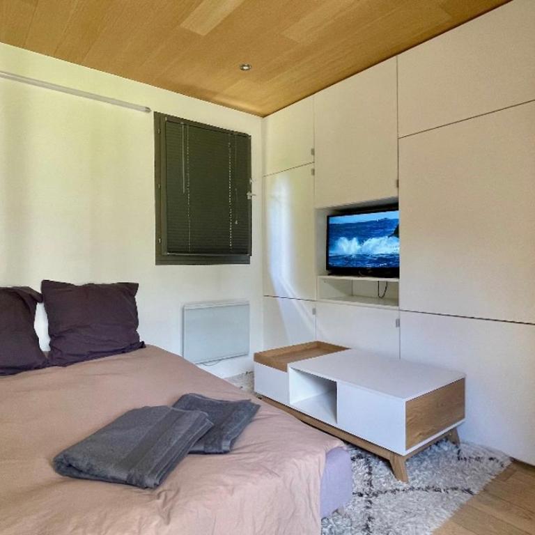 Studio rénové avec terrasse Sud idéalement situé - Appartement 1 Chambre - 4