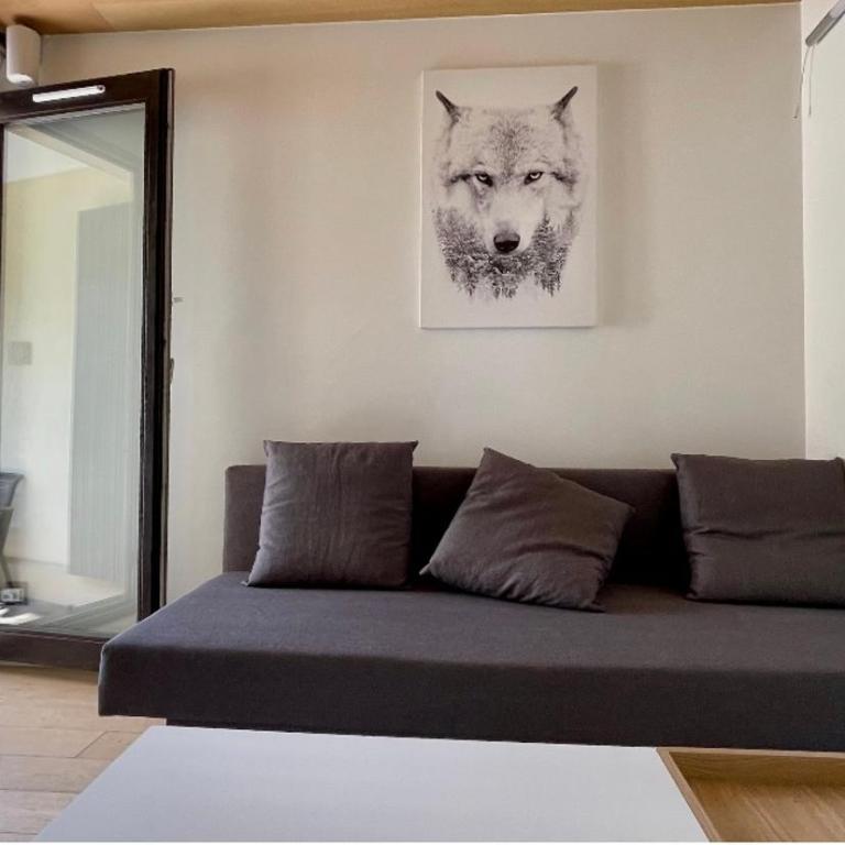 Studio rénové avec terrasse Sud idéalement situé - Appartement 1 Chambre - 5