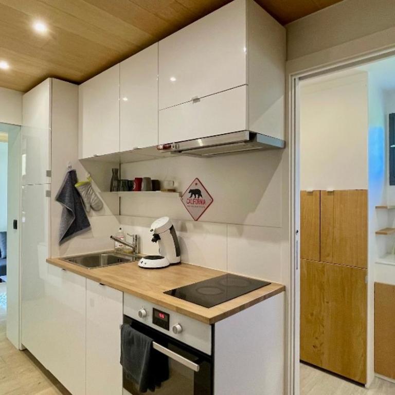 Studio rénové avec terrasse Sud idéalement situé - Appartement 1 Chambre - 3
