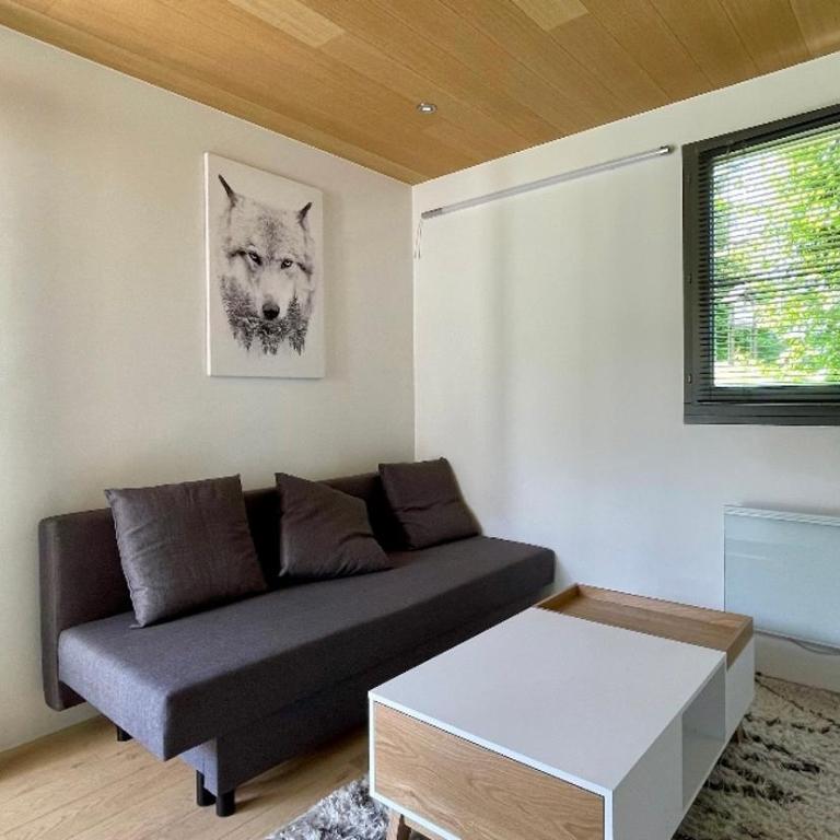 Studio rénové avec terrasse Sud idéalement situé - Appartement 1 Chambre - 6